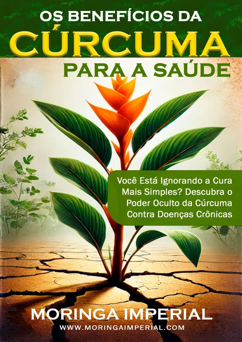 Descubra o Poder da Cúrcuma - O Guia Completo para Transformar sua Saúde - Imagem 5